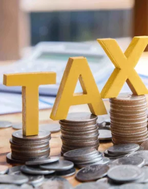 about tax management software