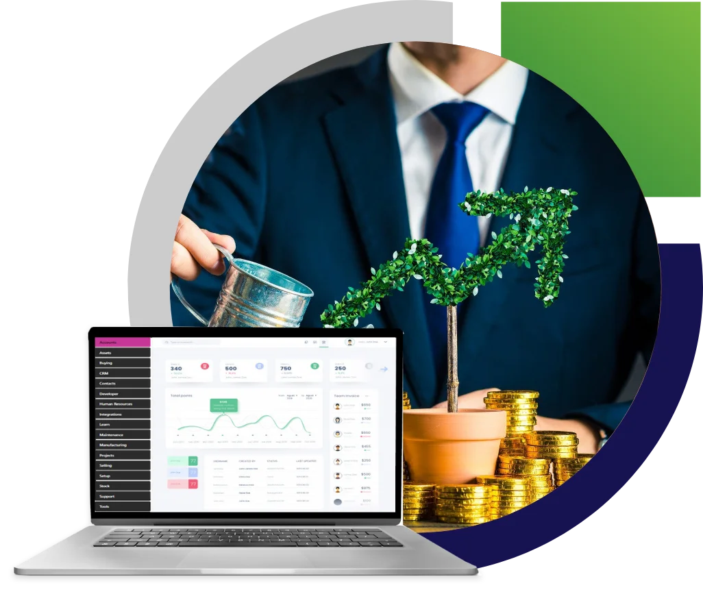 advantages financial erp software