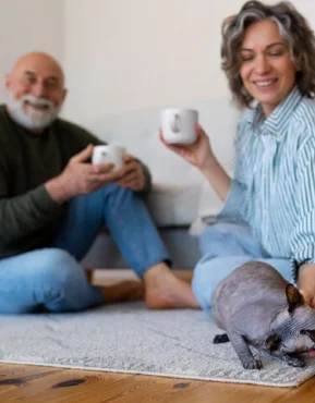 challenges pension management system solve