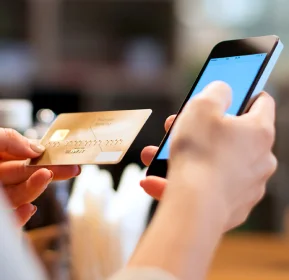 payment management erp software